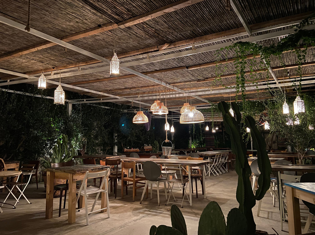 Kasbah Soul Kitchen