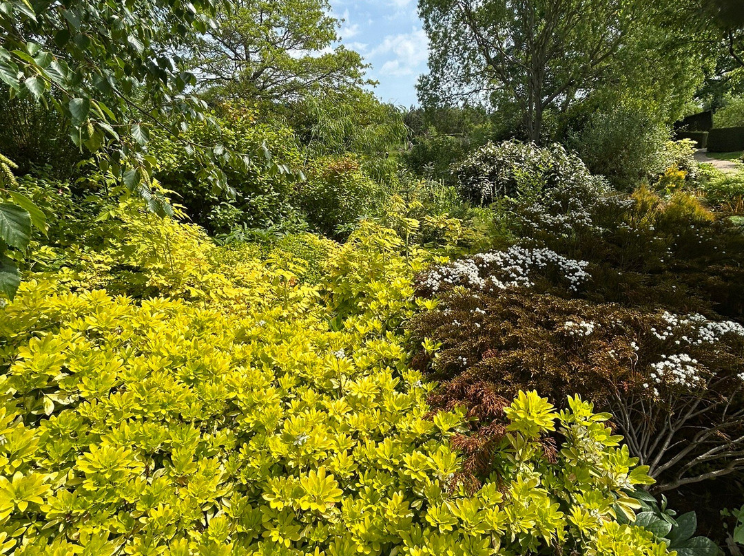 RHS Garden Harlow Carr-哈罗盖特必去景点