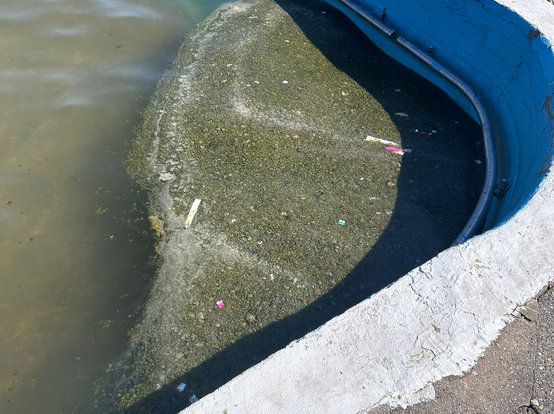 Lymington Sea Water Baths-利明顿必去景点