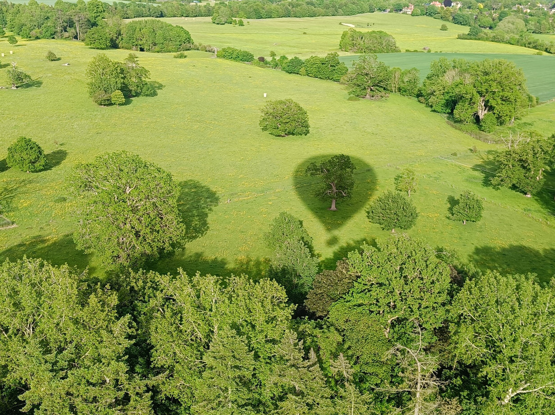 Virgin Balloon Flights - Oxford-牛津必去景点