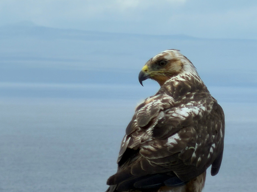 Bartolome Island, Galapagos, Ecuador-Bartolome必去景点