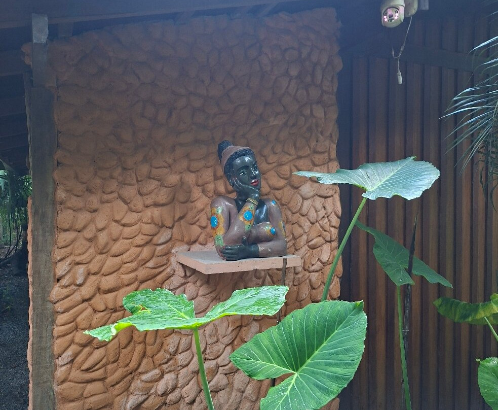 Vila de Alter Pousada Boutique Amazonia主图