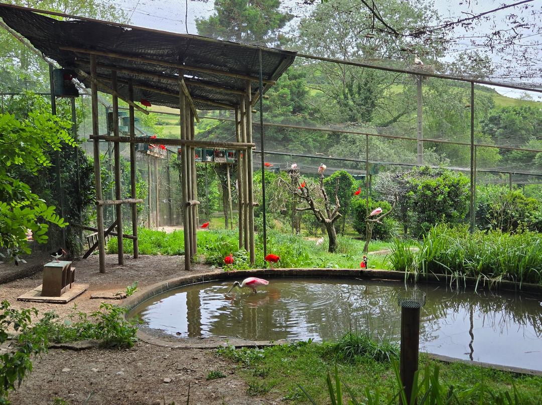 Zoo De Santillana Del Mar-海边的散提亚拿必去景点