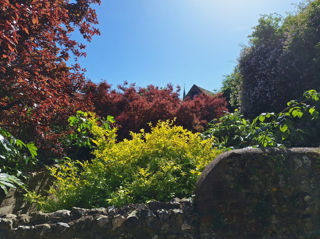 Lewes Castle & Barbican House Museum-刘易斯必去景点