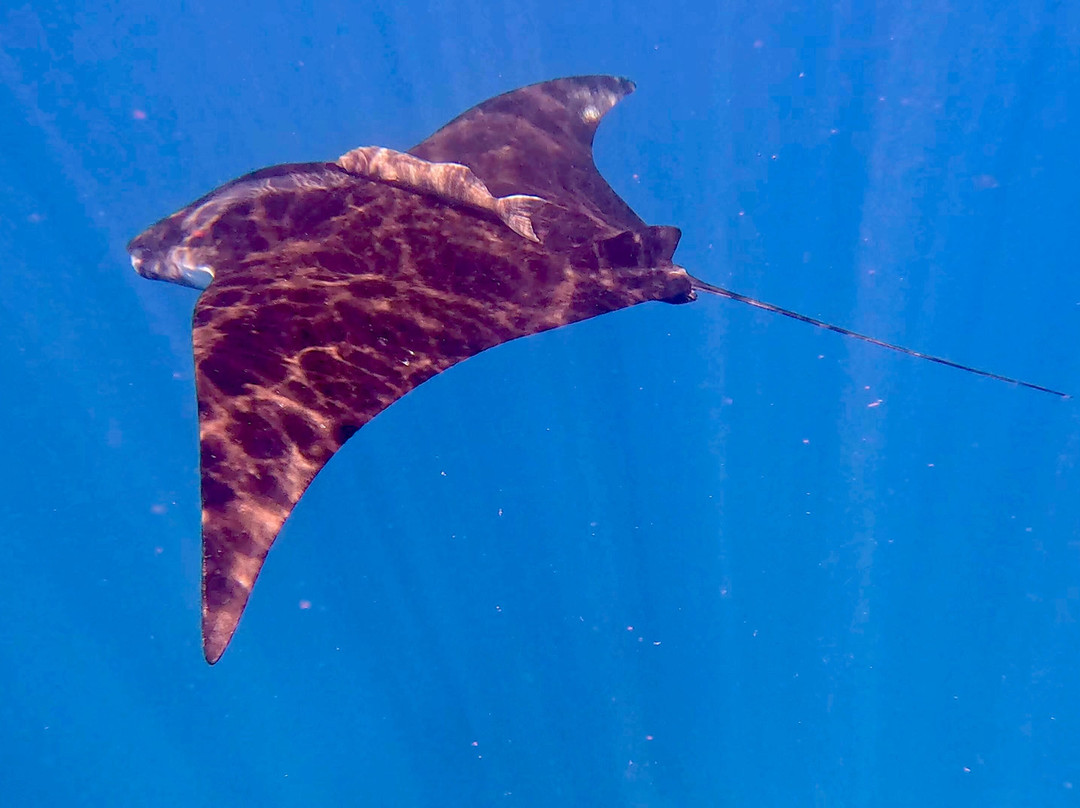 Baja Wild Encounters-La Ventana必去景点