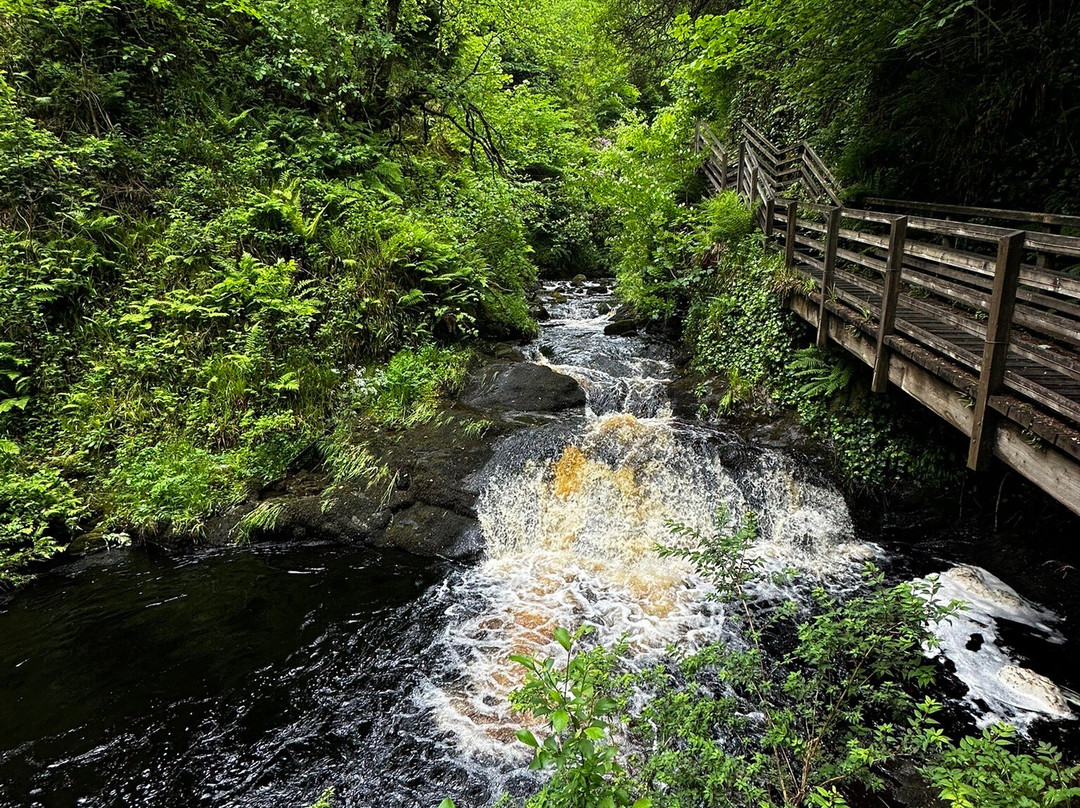 Glenariff Forest Park-County Antrim必去景点