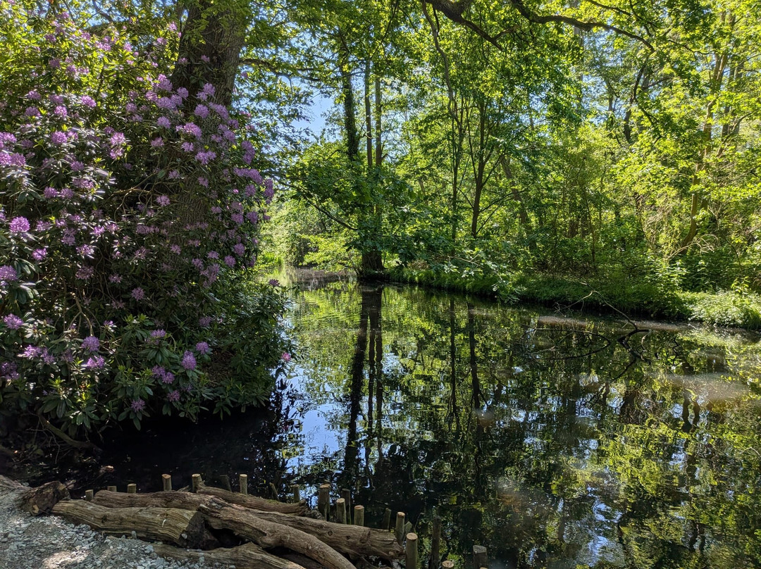 Fairhaven Woodland and Water Garden-South Walsham必去景点