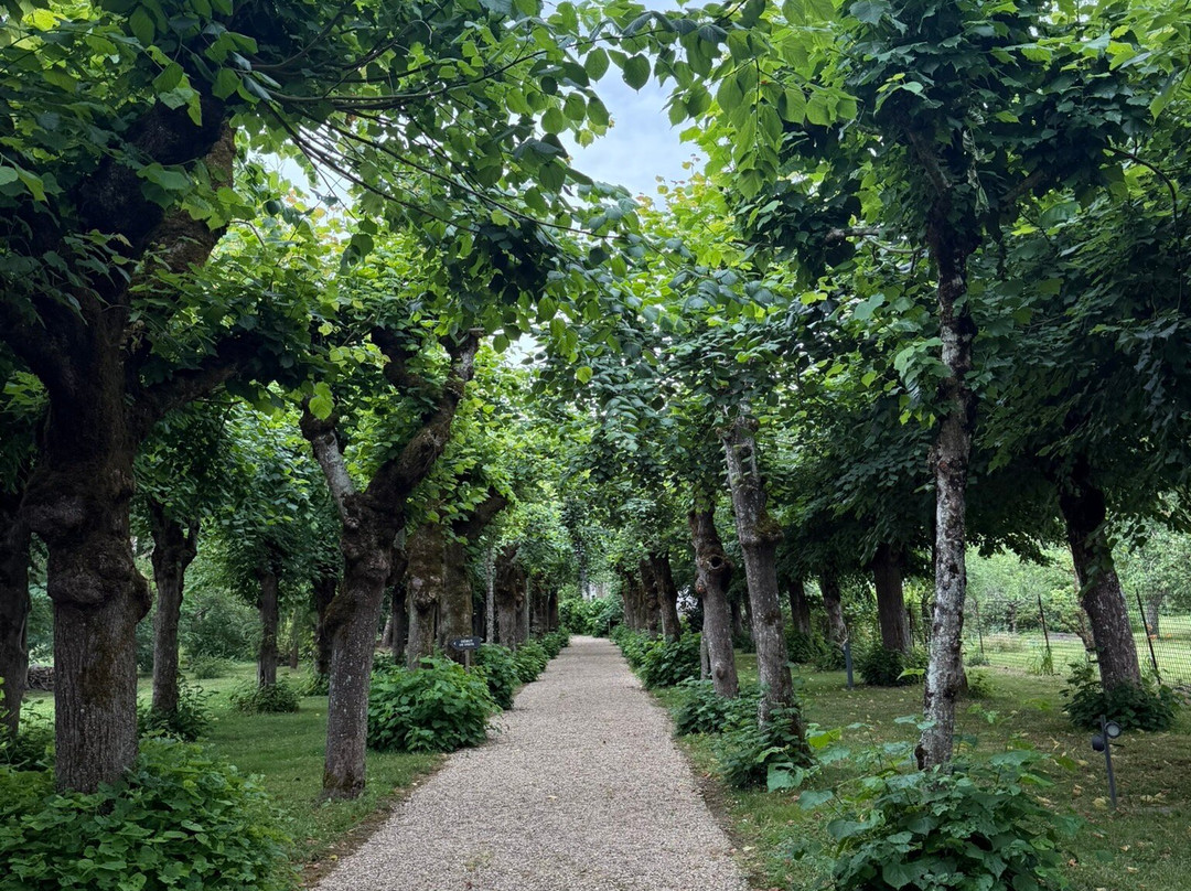 Clos de la Richardière-昂布瓦斯必去景点