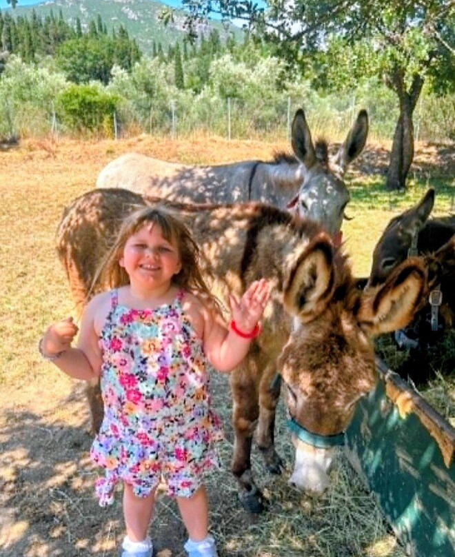 Corfu Donkey Rescue-Paleokastritsa必去景点