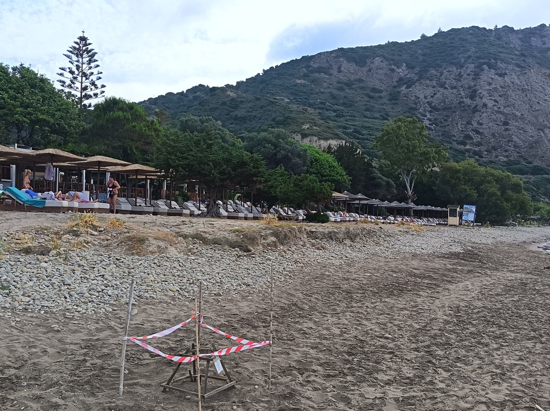 Dafni Beach-扎金索斯必去景点