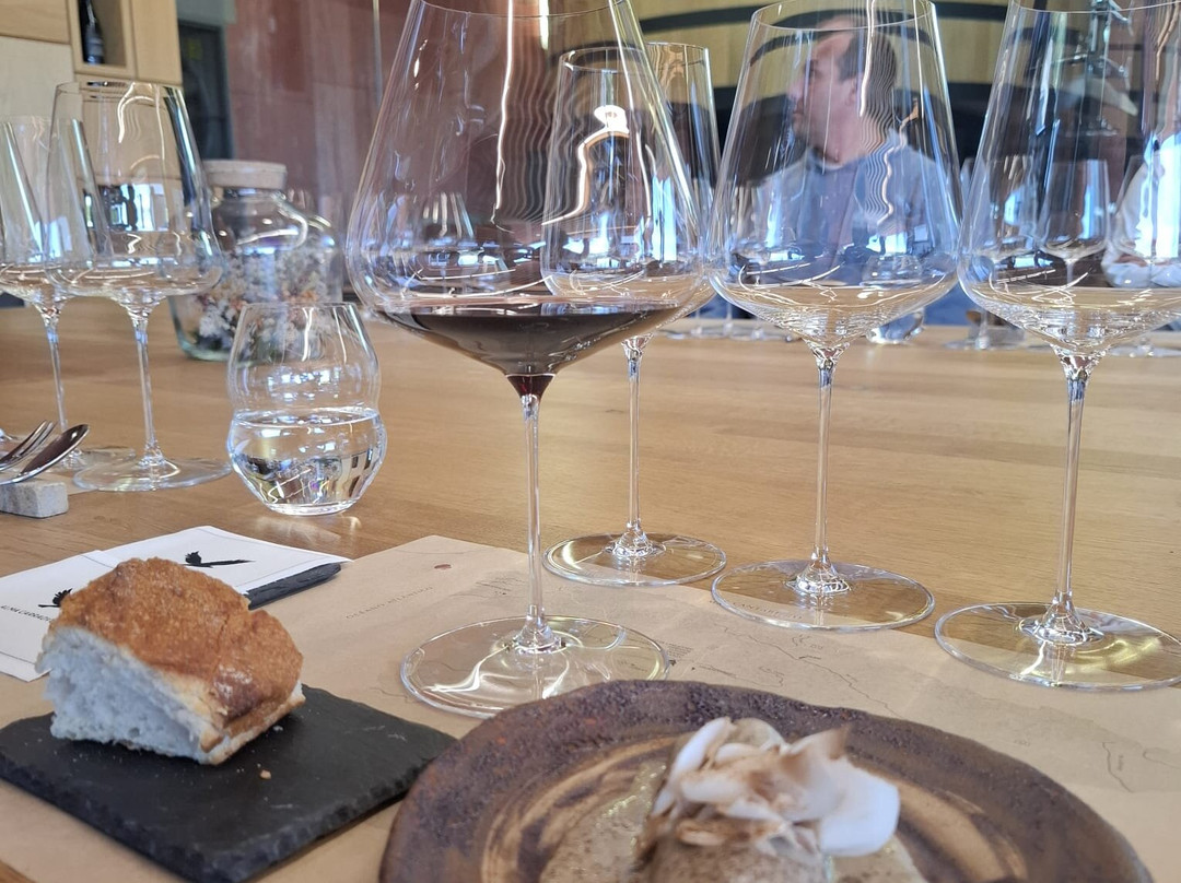 Pago de Carraovejas Winery-Penafiel必去景点
