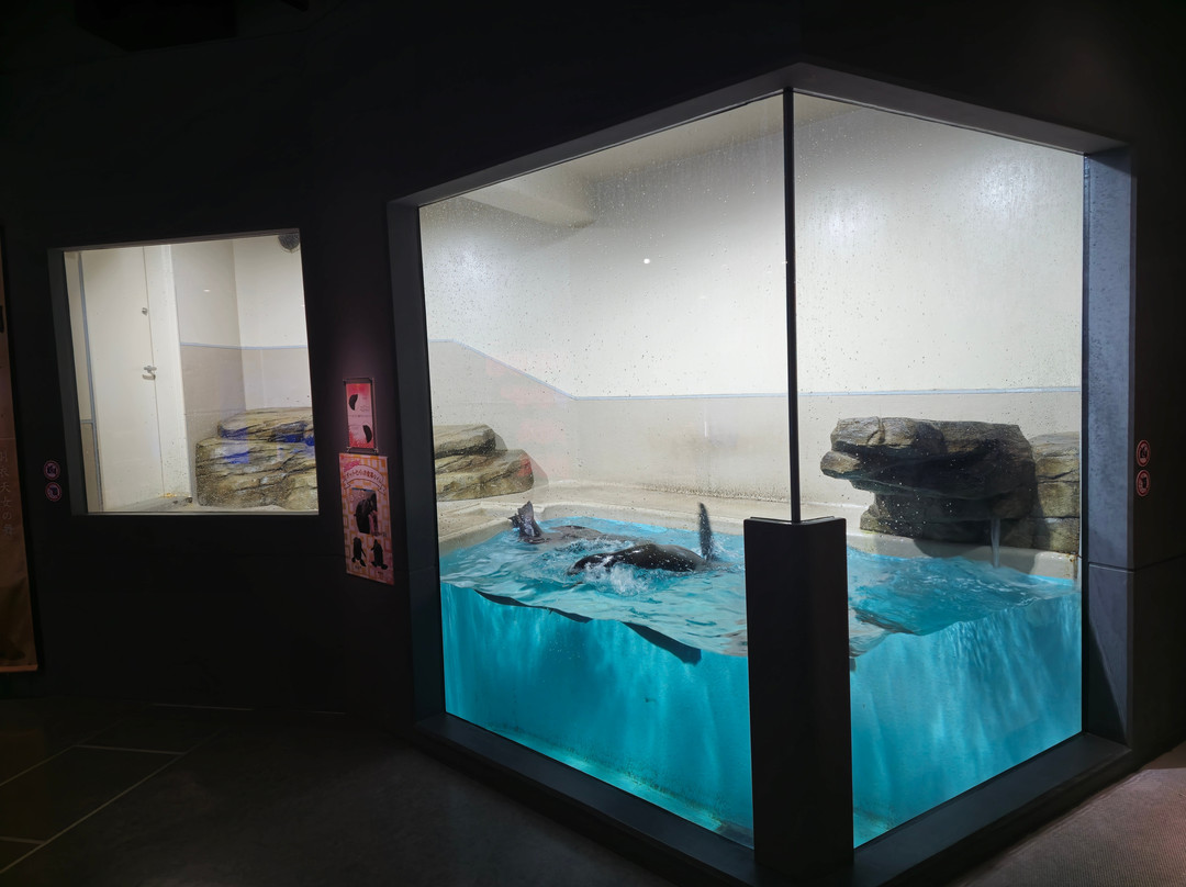 Miyajima Public Aquarium-廿日市市必去景点