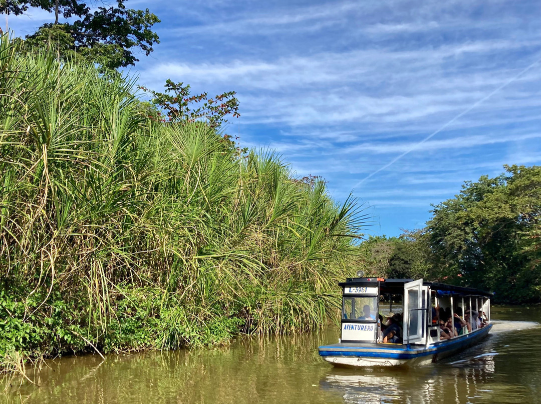 Tortuguero Canal-利蒙港必去景点
