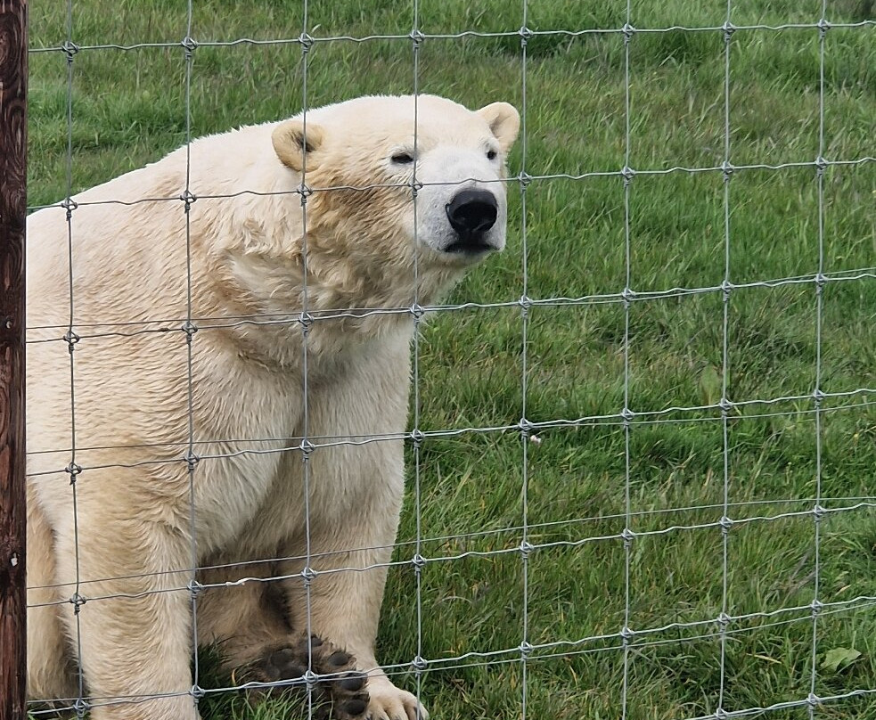 Peak Wildlife Park-Winkhill必去景点