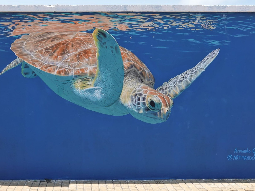 Street Murals By Aruba Art Fair-San Nicolas必去景点