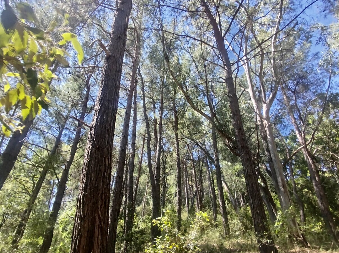 Riserva Naturale Regionale delle Valli Cupe-Sersale必去景点