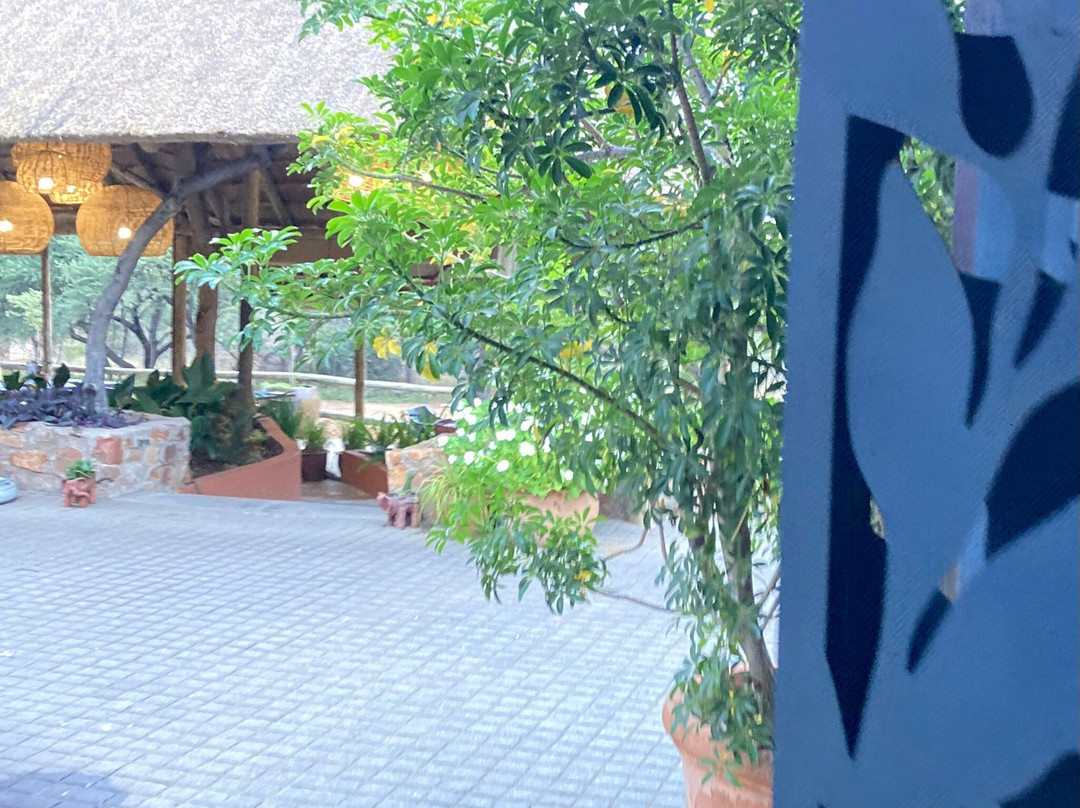 Mokolodi Nature Reserve-嘉伯隆里必去景点