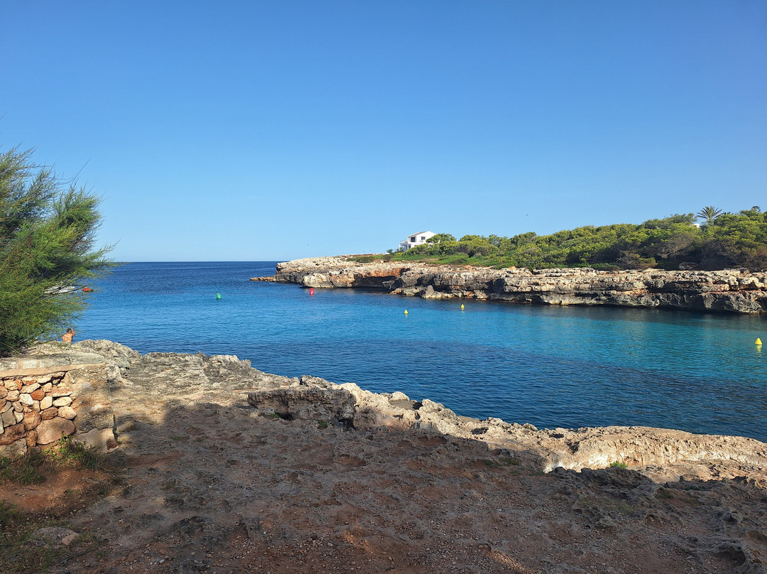 Globales Cala Blanca主图