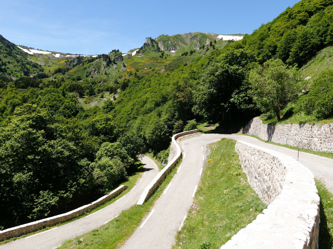 Green Jersey British & Continental Cycling Tours-Cattistock必去景点