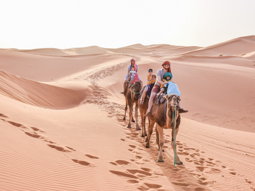 Morocco Live It Tours-非斯必去景点