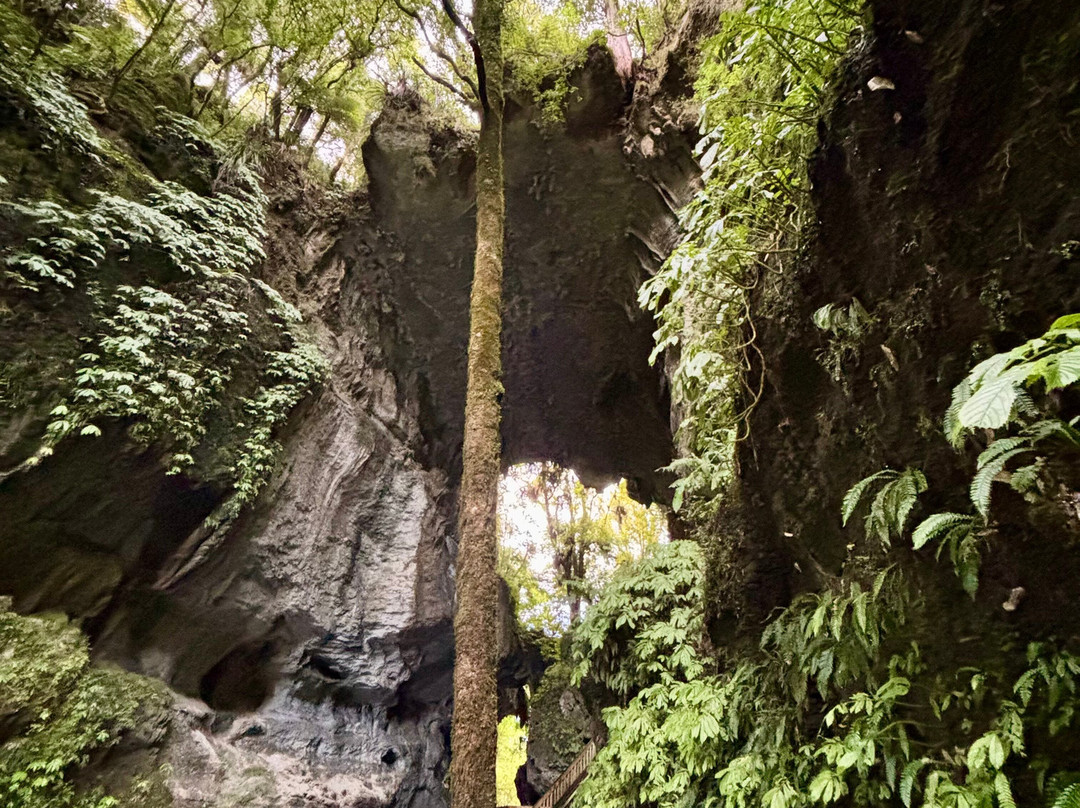 Mangapohue Natural Bridge Walk-怀托摩洞穴必去景点