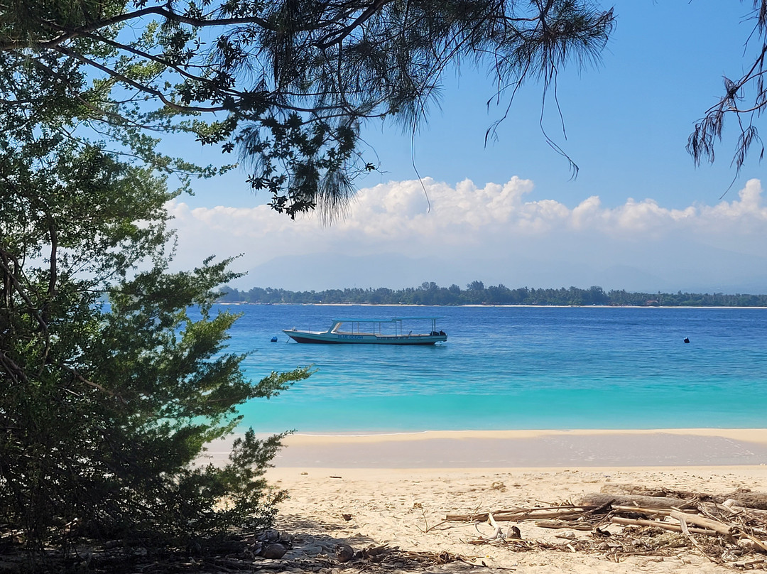 Gili Meno Turtle Sanctuary-Gili Meno必去景点