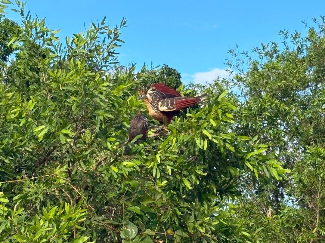Indigena Tours-Rurrenabaque必去景点