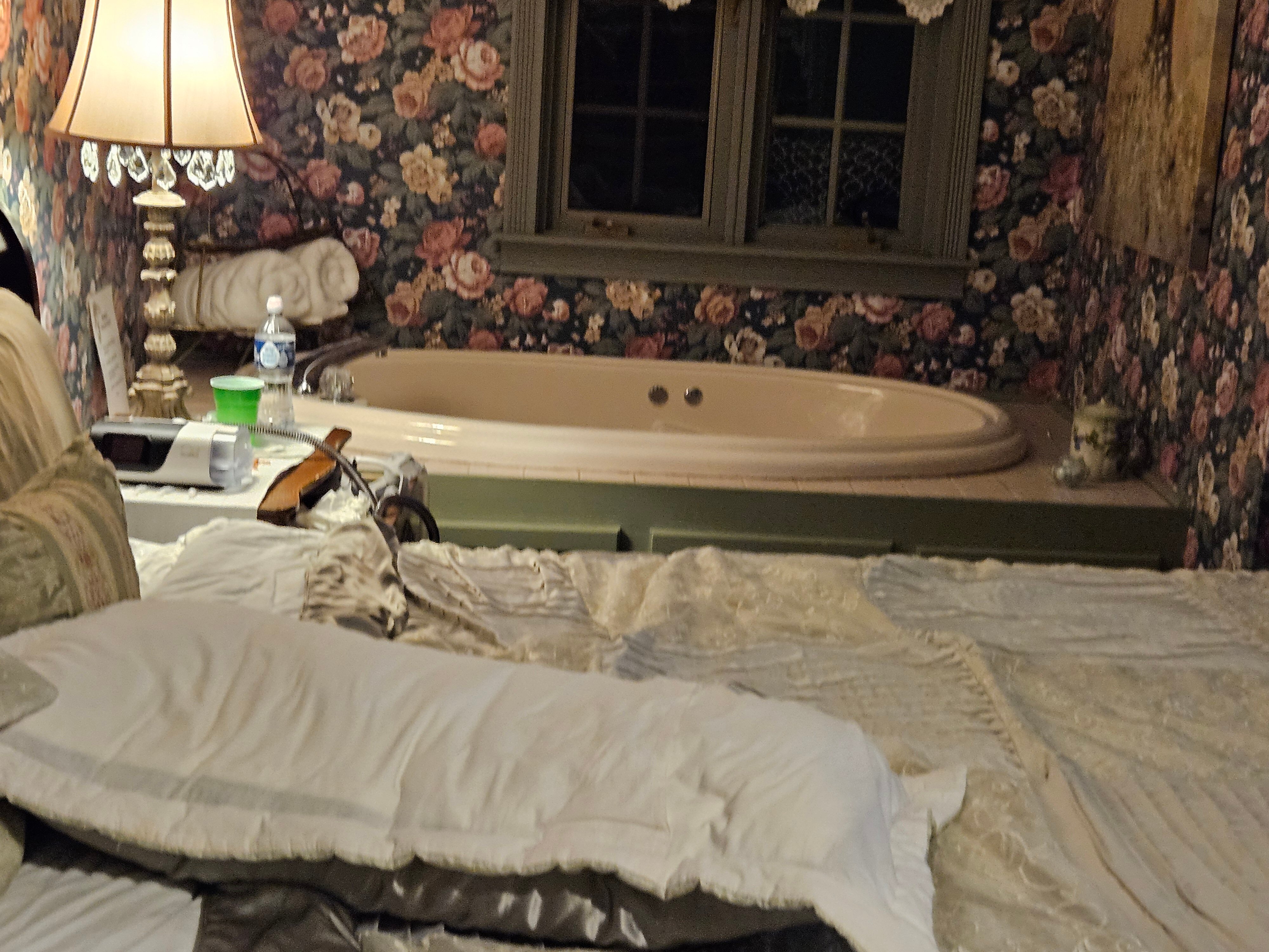 Stone Face Manor Bed & Breakfast-旅行者