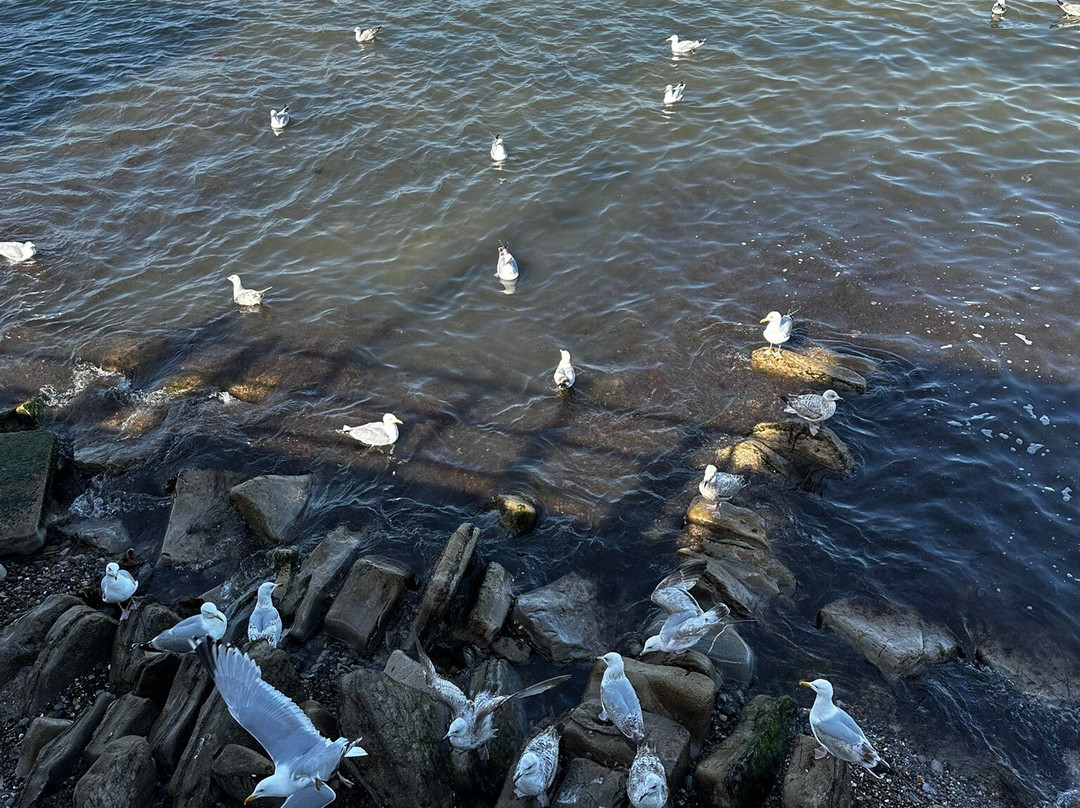 Swanage Beachfront-斯沃尼奇必去景点