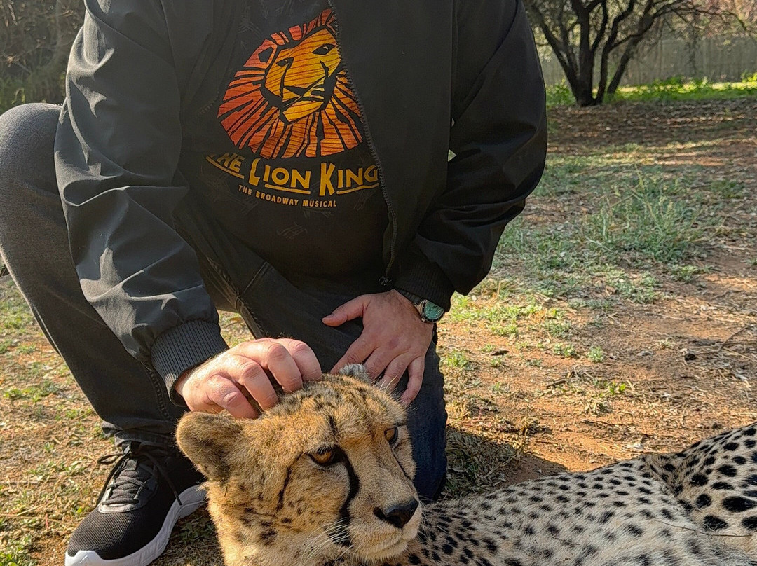 Wildside Tours and Safaris - Day Tours-约翰内斯堡必去景点