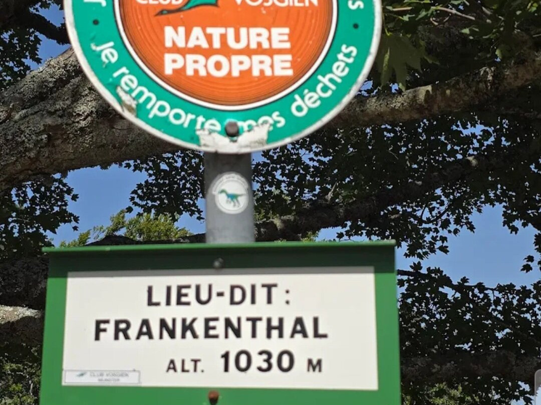 Réserve Naturelle Frankenthal-Missheimle-Stosswihr必去景点