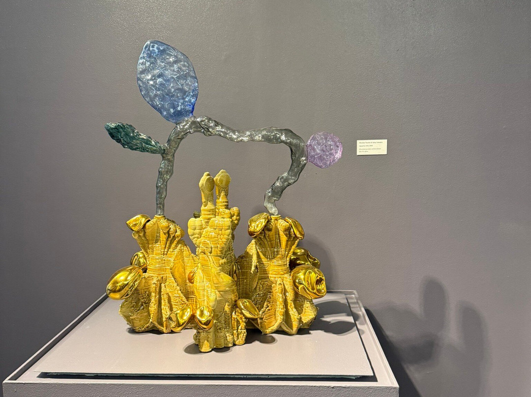 New Bedford Art Museum-新贝德福德必去景点
