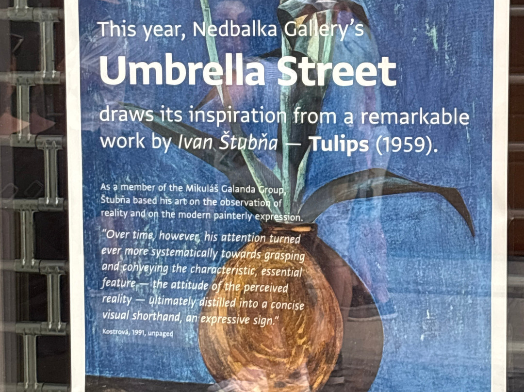 Nedbalka Gallery-布拉迪斯拉发必去景点