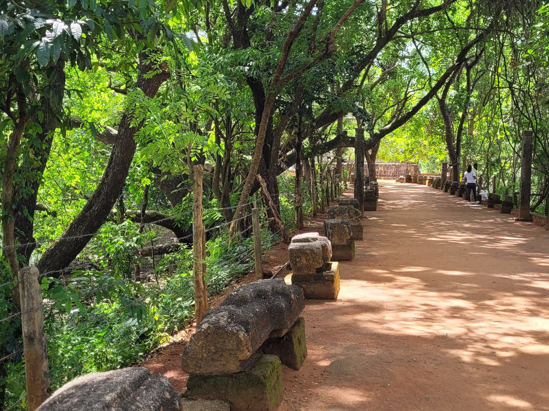 Travel Now Sri Lanka-科伦坡必去景点