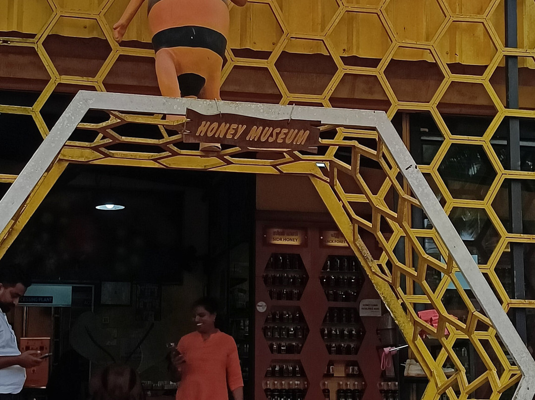 Beecraft Honey Museum-Kunnathidavaka必去景点