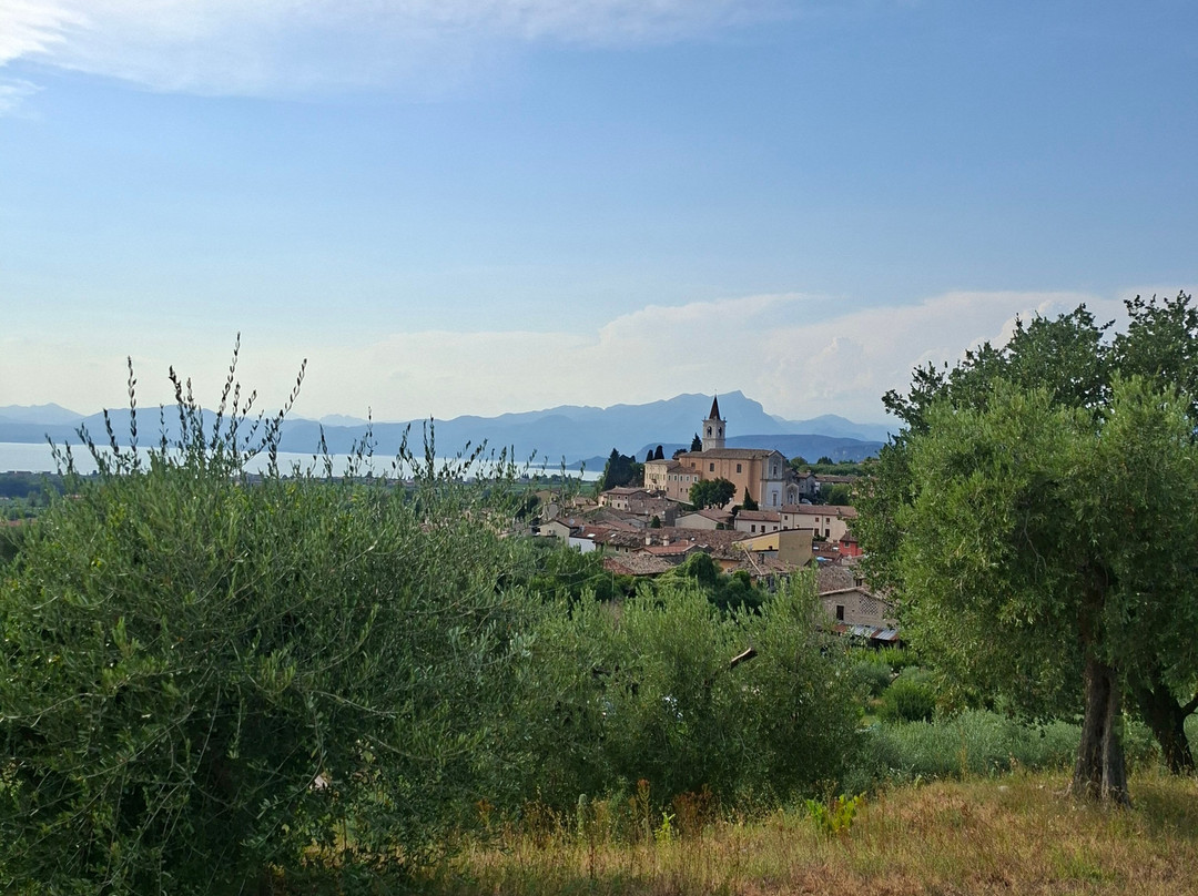 Villa Calicantus-Calmasino必去景点