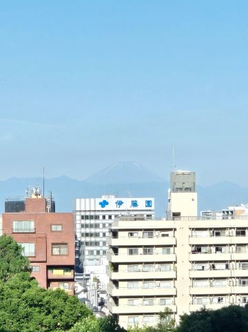 东京凯悦酒店-旅行者