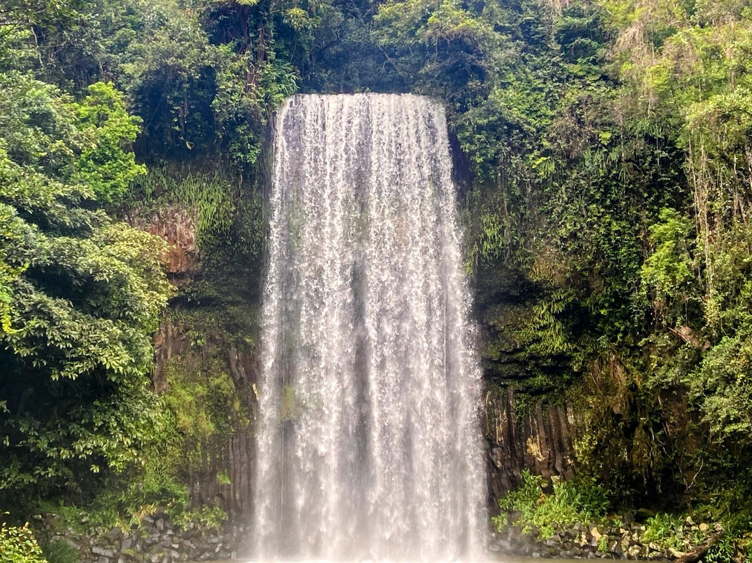 Millaa Millaa Falls-Millaa Millaa必去景点