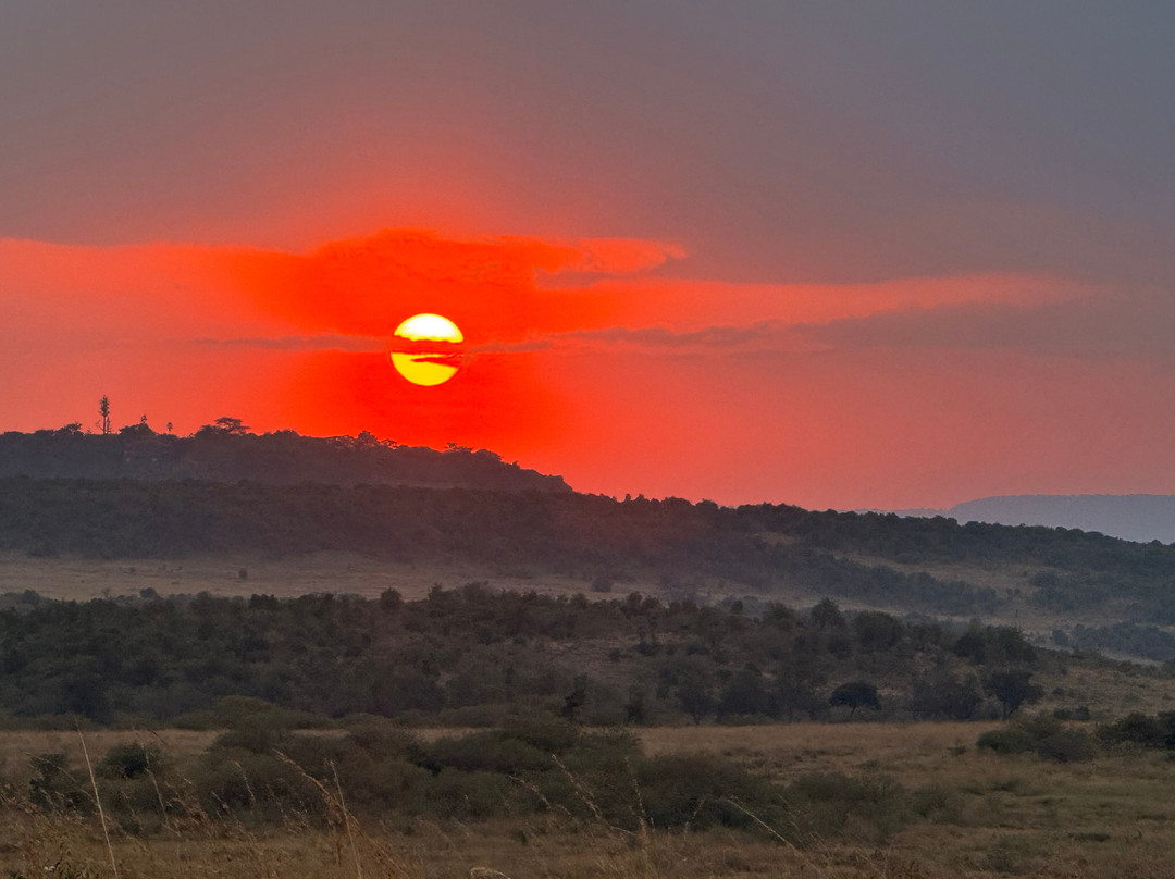 East Africa Adventure Tours and Safaris-马赛马拉国家野生动物保护区必去景点