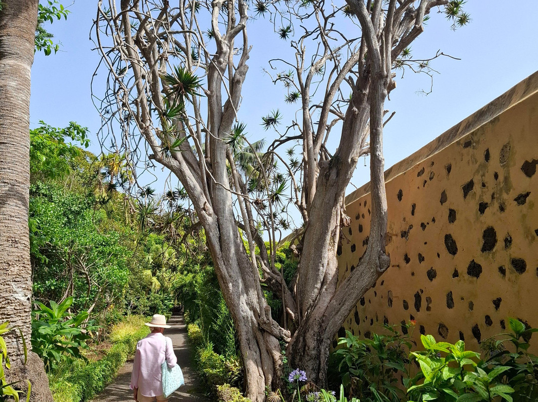 Botanischer Garten-德拉克鲁兹索尔港必去景点