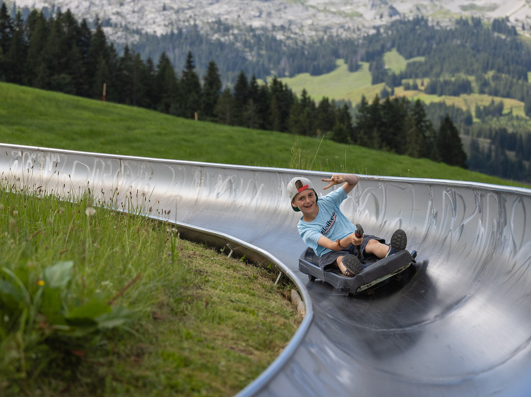Sommerrodelbahn Rischli-Sorenberg必去景点