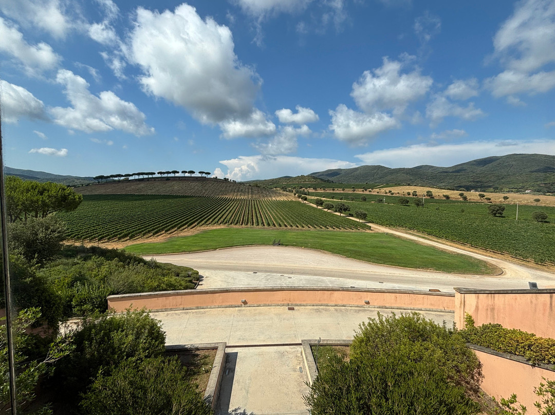 Fattoria Le Mortelle-Ampio必去景点