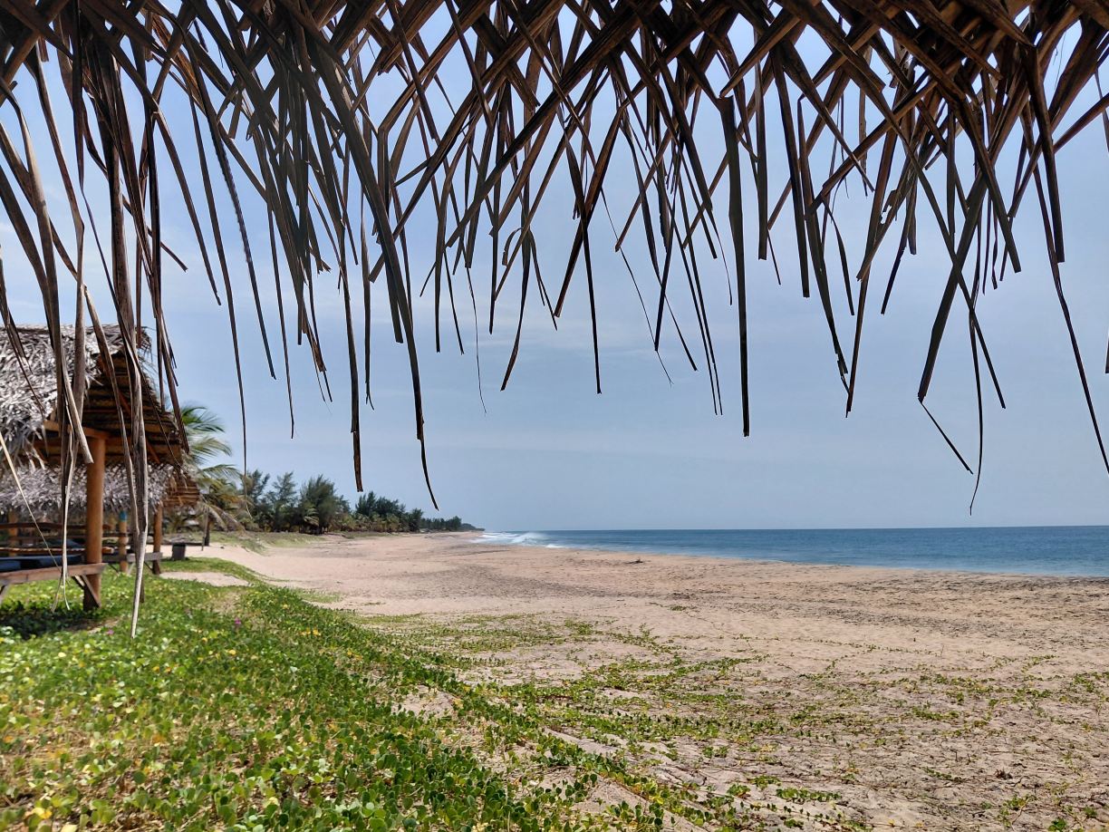 Whisky Point Resort-旅行者