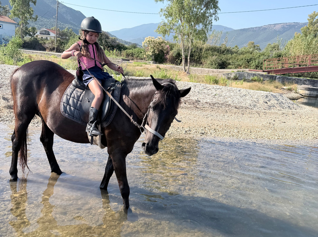 Kefalonia's Horse Riding Stable-萨米必去景点