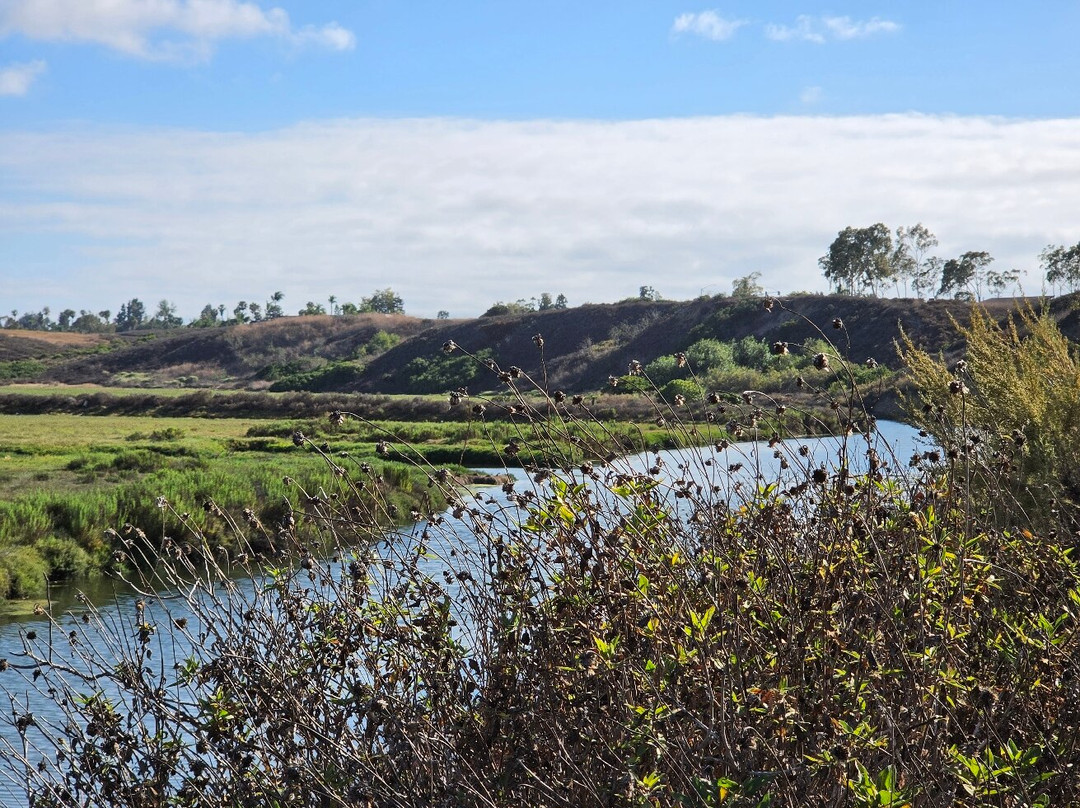 Upper Newport Bay Nature Preserve-纽波特海滩必去景点