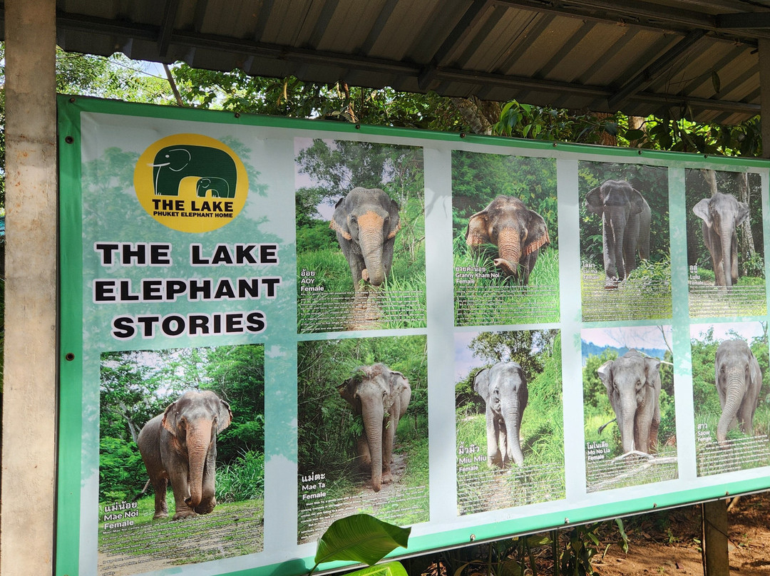 The Lake Phuket Elephant Home-Thep Krasatti必去景点