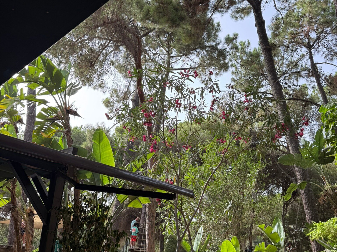 Aventura Amazonia Marbella-太阳海岸必去景点