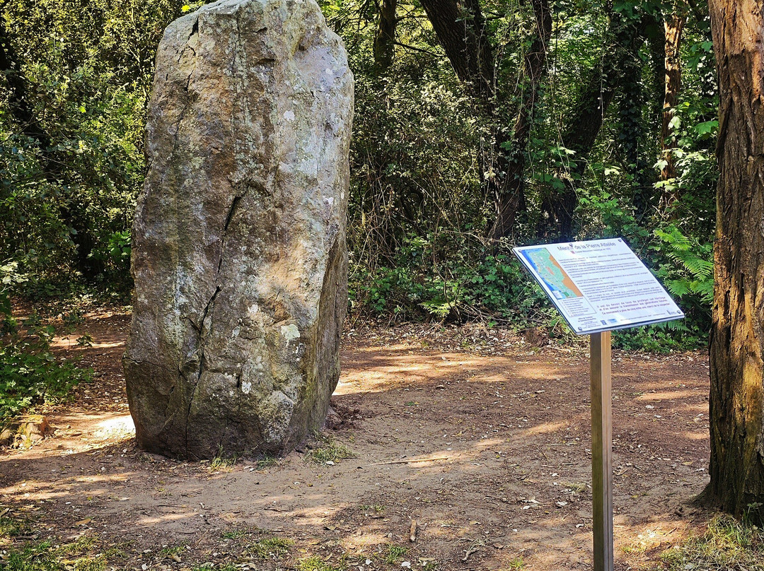 Menhir De La Pierre Attelée