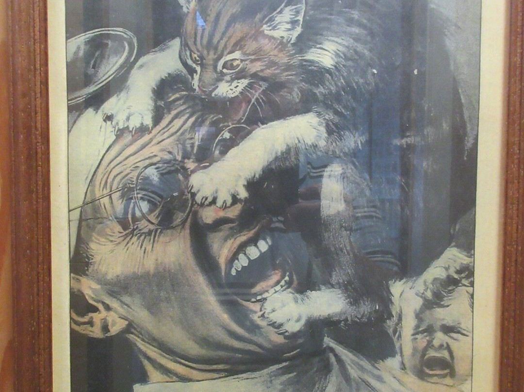 Cats Museum-科托尔必去景点