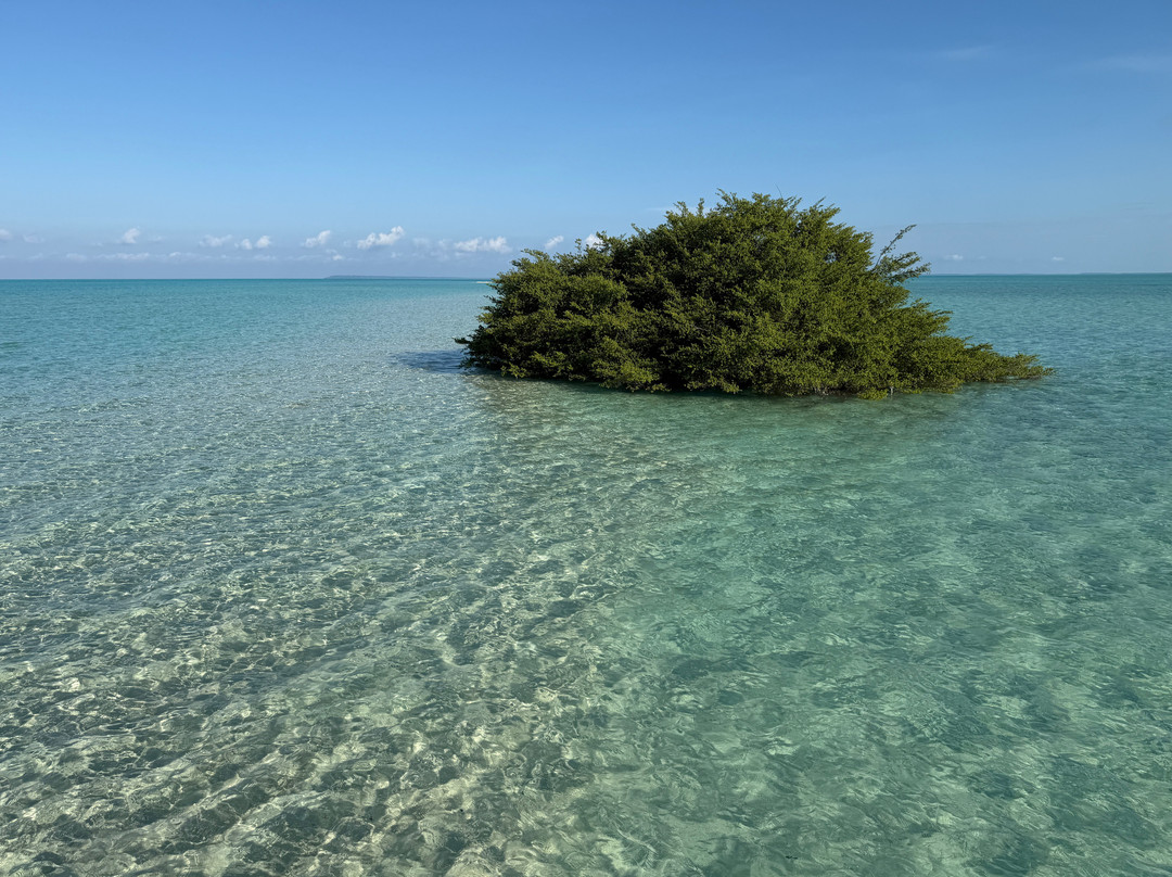 Virgin Cocoa - Tropical Hideaway Island主图